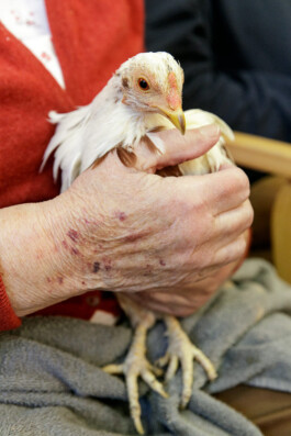 Carl Brunn, Fotograf