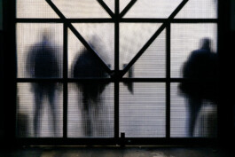 Carl Brunn, Fotograf