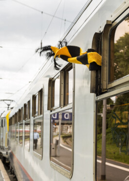 Carl Brunn, Fotograf