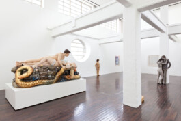 Carl Brunn, Fotograf