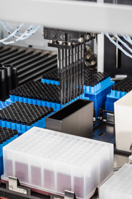 Carl Brunn, Fotograf