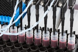 Carl Brunn, Fotograf