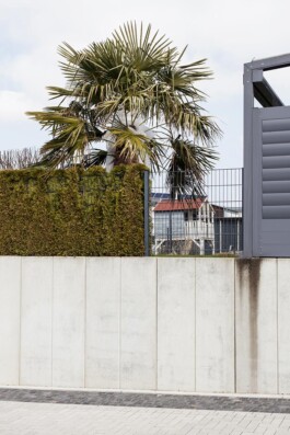 Carl Brunn, Fotograf