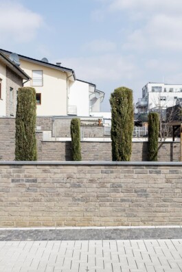 Carl Brunn, Fotograf