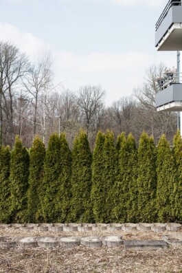 Carl Brunn, Fotograf