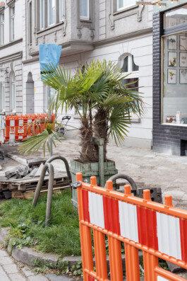 Carl Brunn, Fotograf