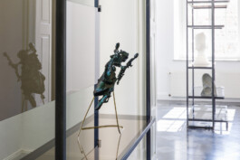 Carl Brunn, Fotograf