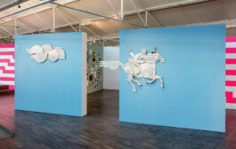 Carl Brunn, Fotograf